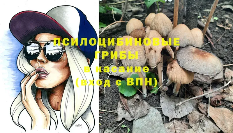 Псилоцибиновые грибы MAGIC MUSHROOMS  где купить наркотик  Карталы 